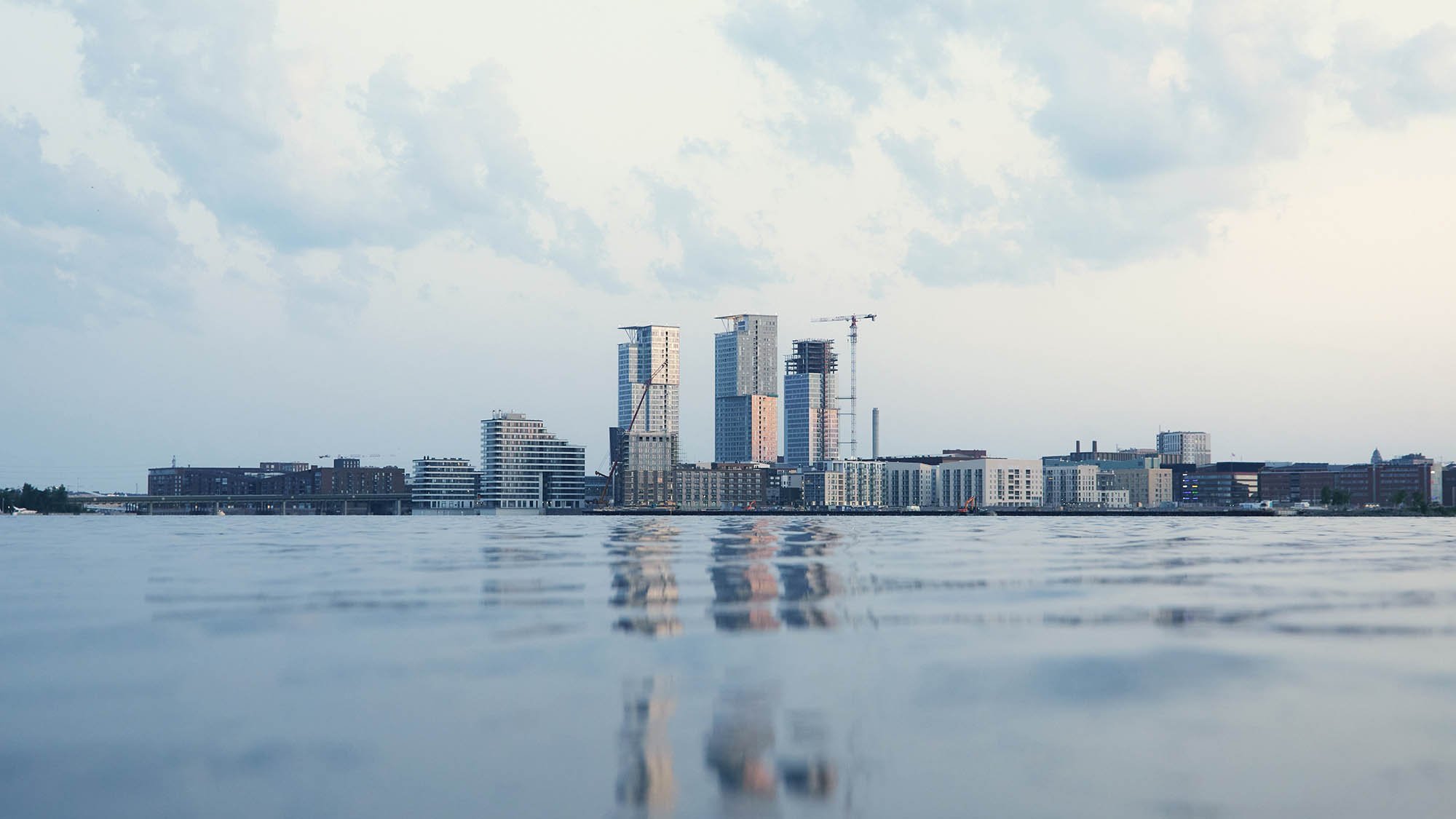 Elinympäristömme muuttuu vauhdilla - Luotea auttaa