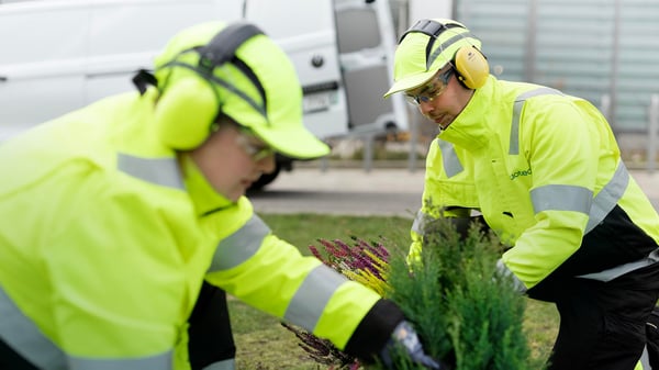 Maija hyppäsi aulapalveluista viherpalveluihin
